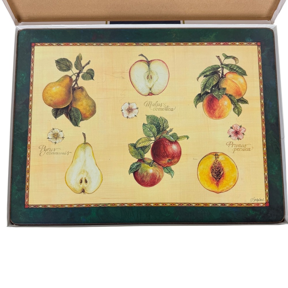 Pimpernel Botanical Fruits Cork Backed 2 Placemats Set Judy Hand Made in England